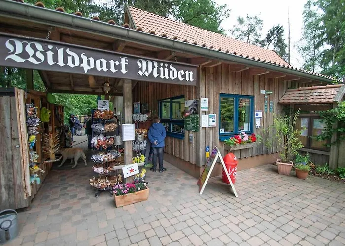 Auszeit Im Gruenen Nahe Der Heide